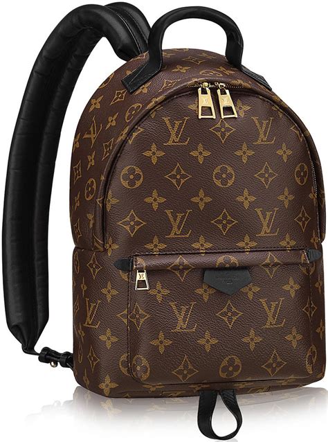 louis vuitton school bag